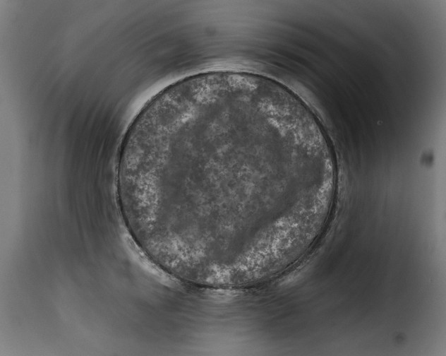 X0000115230854200911201556