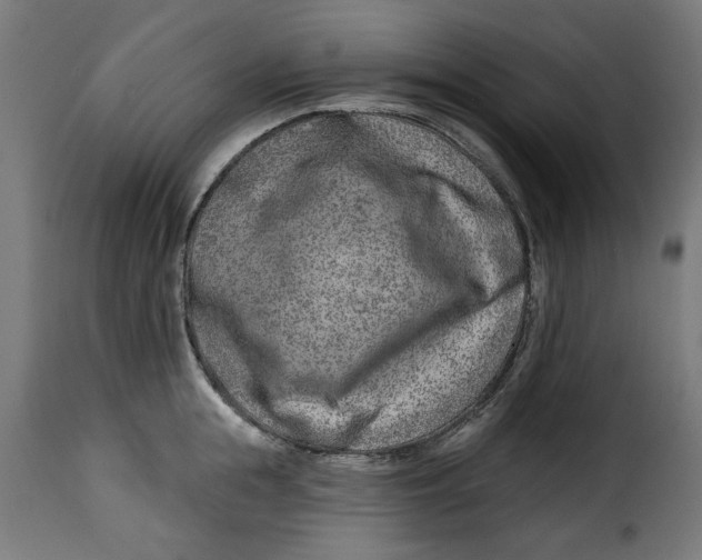 X0000115230855200911201556