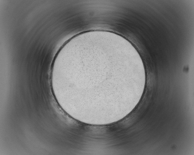 X0000115230856200911201556