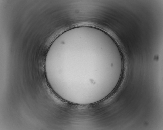 X0000115230857200911201556