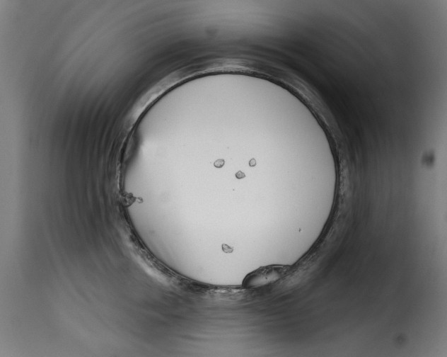 X0000115230858200911201556