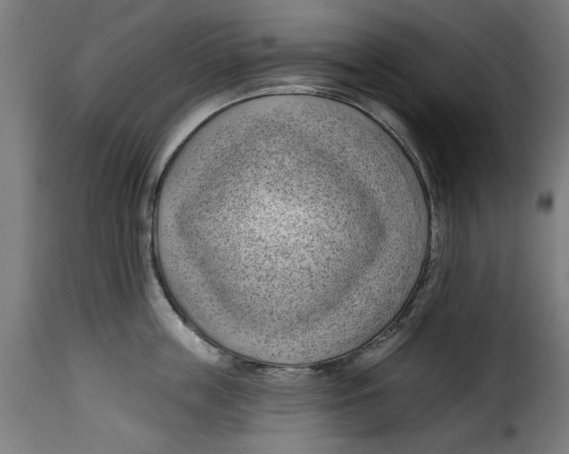 X0000115230859200911201556