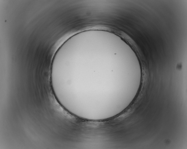 X0000115230860200911201556