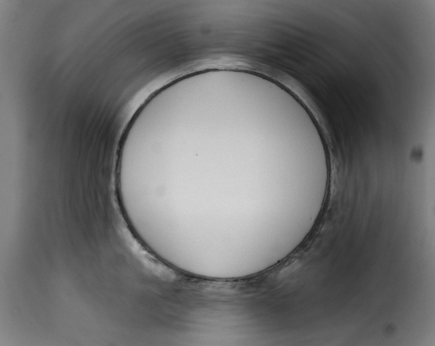 X0000115230861200911201556