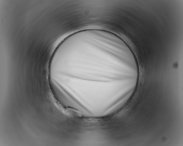 X0000115230862200911201556