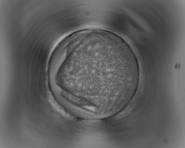 X0000115230864200911201556