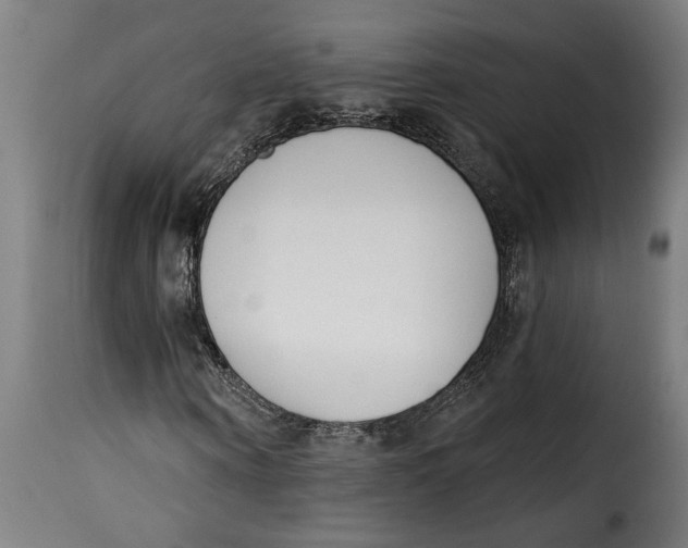 X0000115230866200911201555