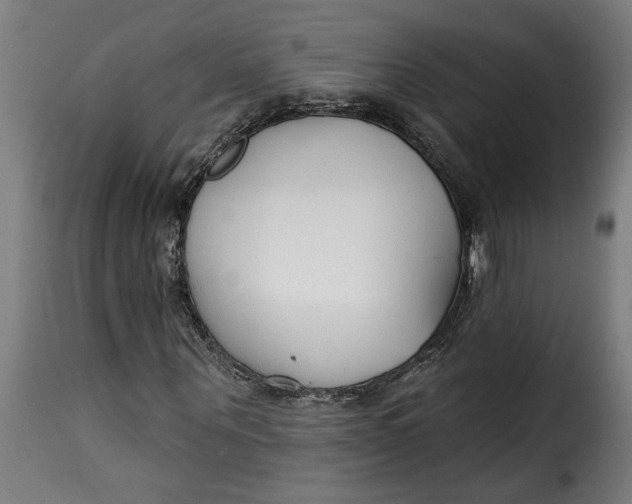 X0000115230867200911201555