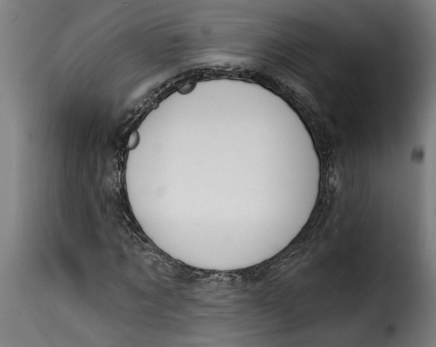 X0000115230869200911201555