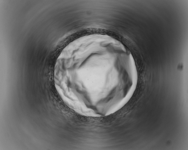 X0000115230870200911201555