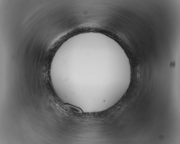 X0000115230872200911201555