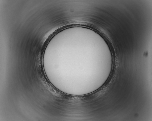 X0000115230875200911201555