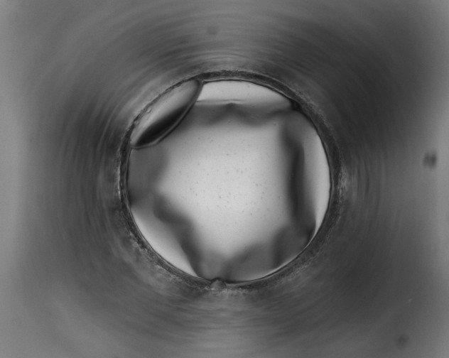 X0000115230877200911201555