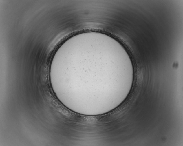 X0000115230878200911201555