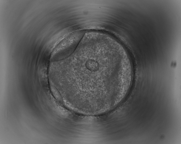 X0000115230881200911201555