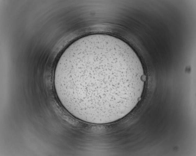 X0000115230882200911201555