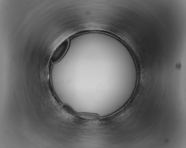 X0000115230885200911201555