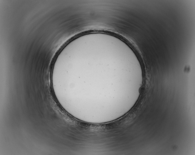 X0000115230887200911201555