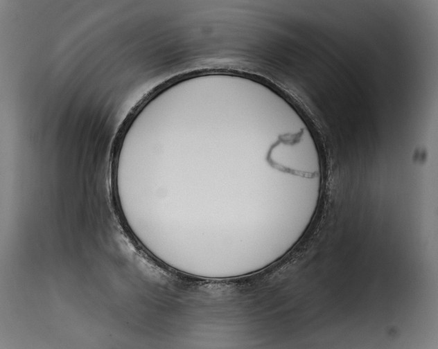 X0000115230888200911201555