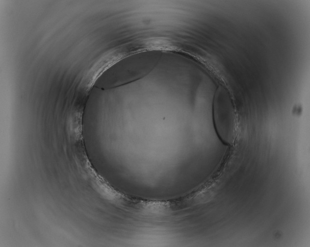 X0000115230889200911201555