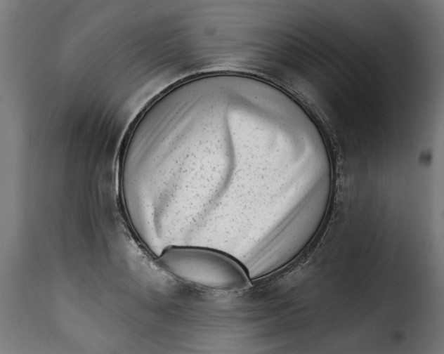 X0000115230892200911201555