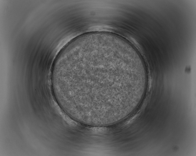 X0000115230893200911201555