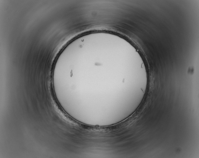 X0000115230895200911201554