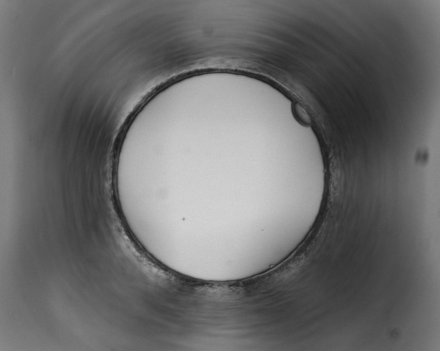 X0000115230896200911201554