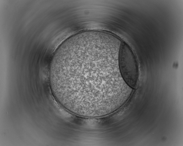 X0000115230897200911201554