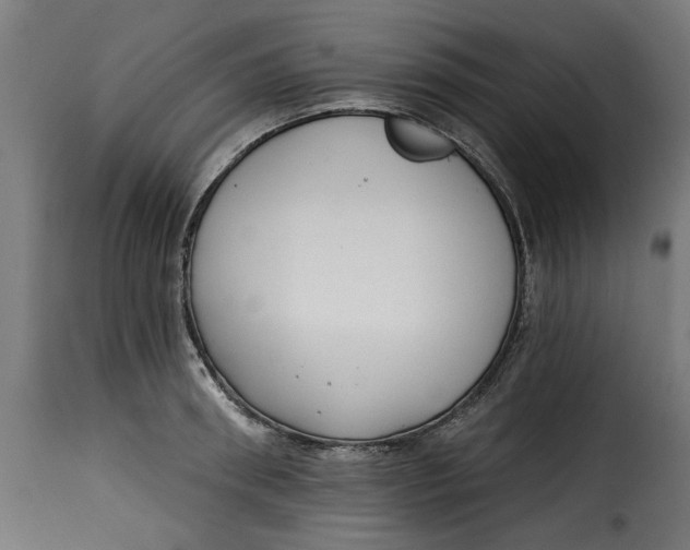 X0000115230898200911201554