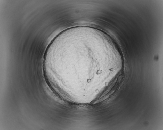 X0000115230899200911201554