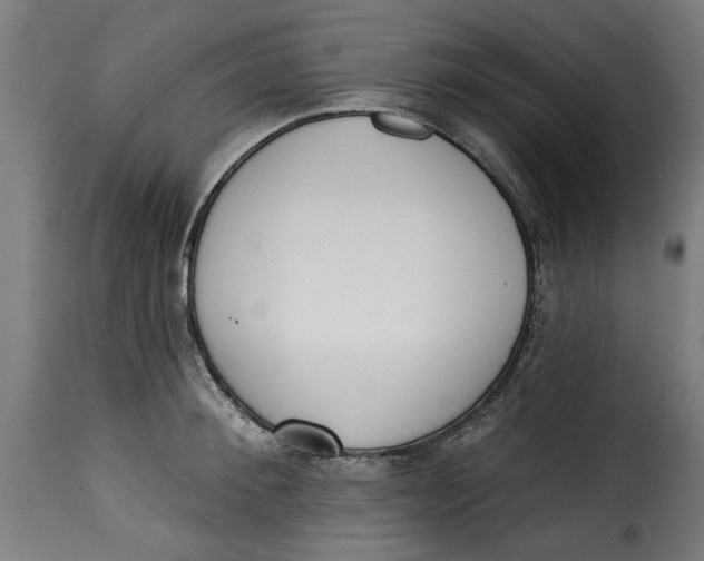 X0000115230900200911201554