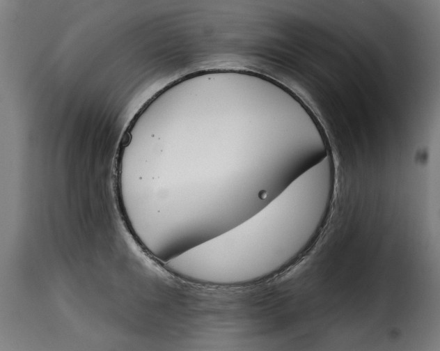 X0000115230901200911201554