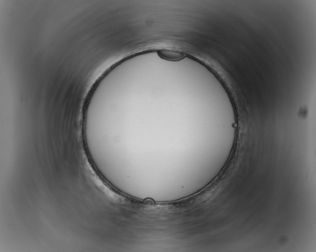 X0000115230902200911201554