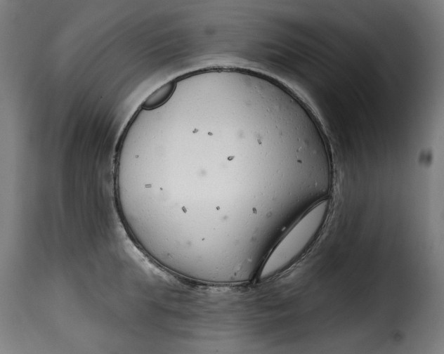 X0000115230903200911201554