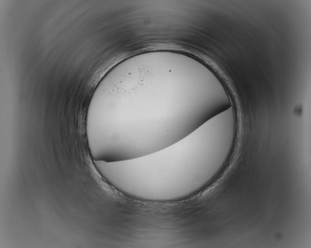 X0000115230905200911201554