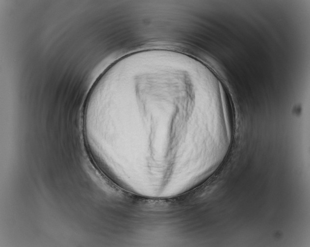 X0000115230907200911201554