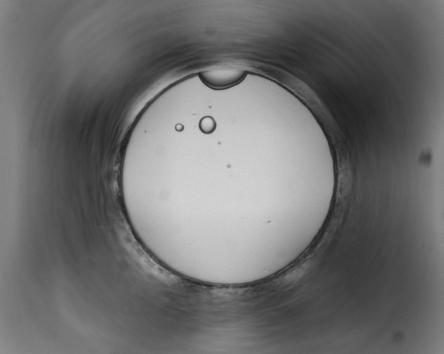 X0000115230908200911201554