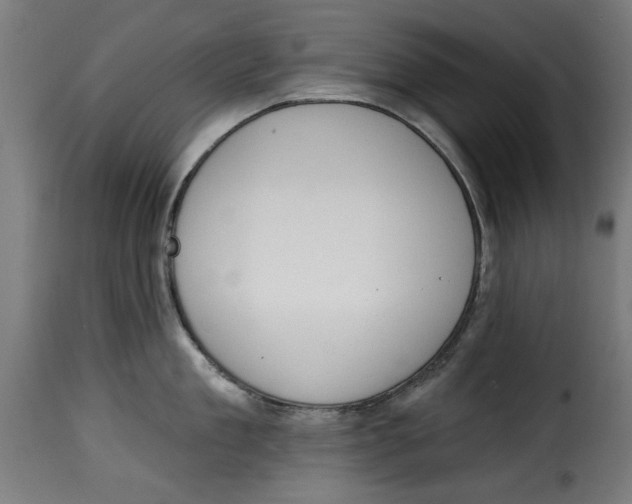 X0000115230909200911201554