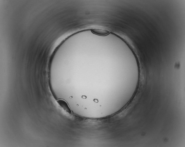 X0000115230910200911201554