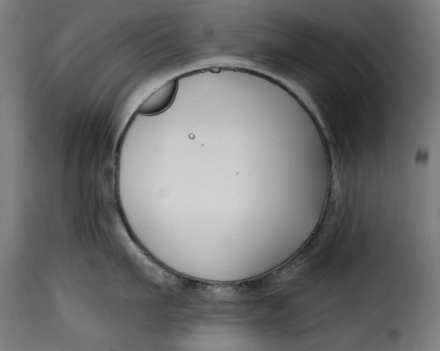 X0000115230911200911201554