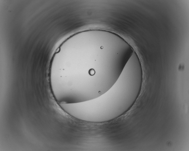 X0000115230912200911201554