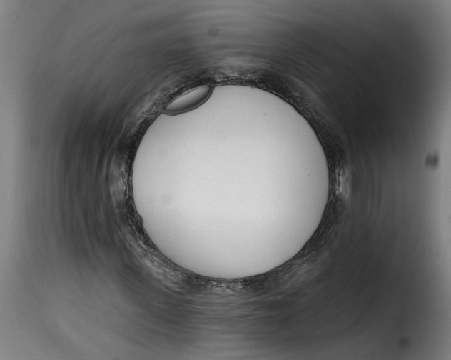 X0000115230915200911201553