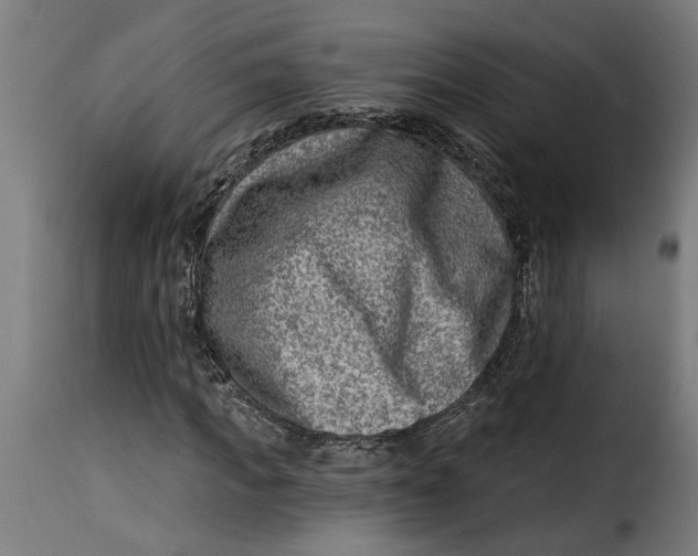 X0000115230917200911201553