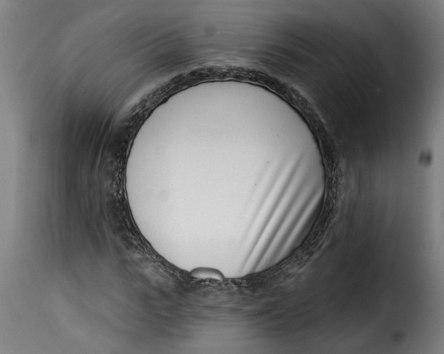 X0000115230919200911201554