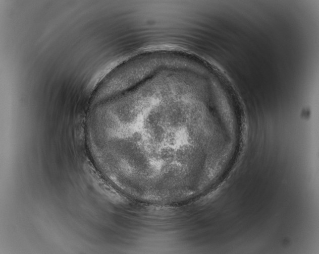 X0000115230921200911201554