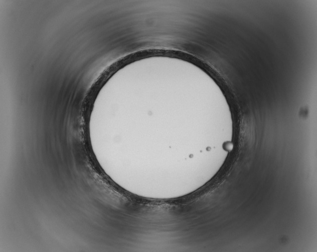 X0000115230926200911201554