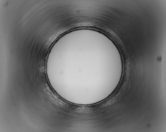 X0000115230929200911201554