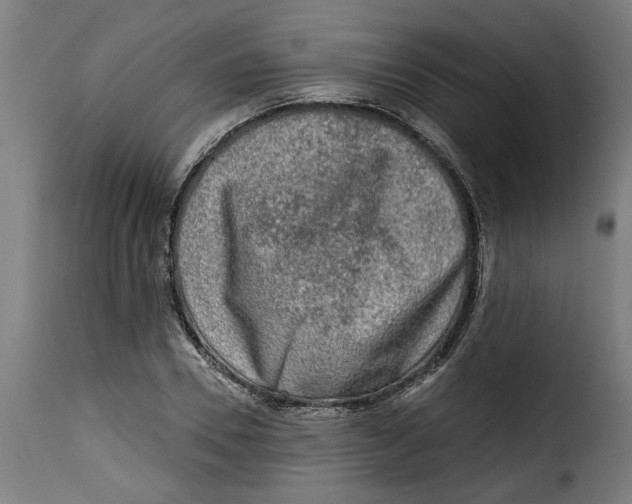 X0000115230930200911201554