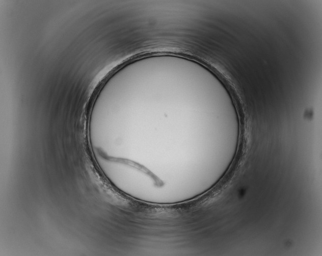 X0000115230933200911201554